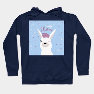 Party Llama Hoodie